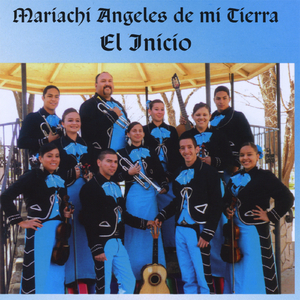 Gorrioncillo Pecho Amarillo