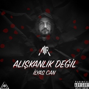 Aliskanlik Degil