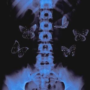 〖FREE〗“蝴蝶谷"(Pord.By.14rocketboi)