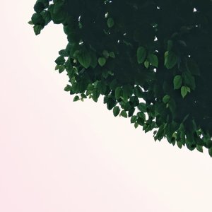 Make fun in the rain