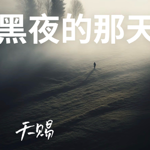 黑夜的那天