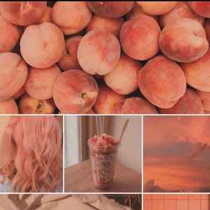 什么样的爱情（翻自 你与六便士）