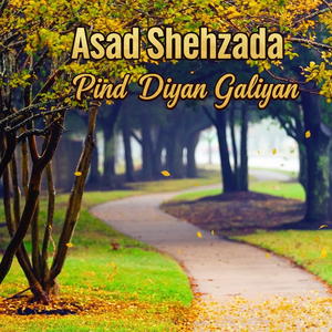 Pind Diyan Galiyan (1)