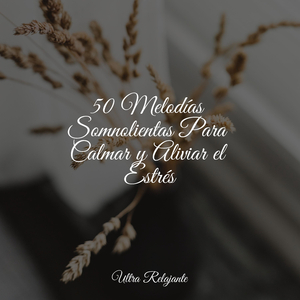 Amanecer De La Inocencia