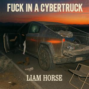 **** In A Cybertruck