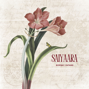 Saiyaara