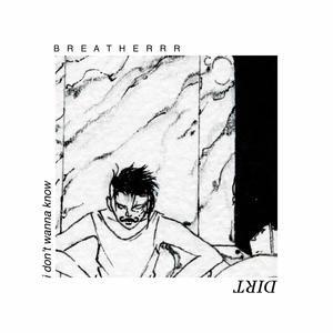 DIRT (Single Version)