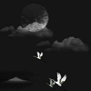 Rihanna-Love The Way You Lie（屿昼飞船 remix）