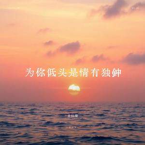 为你低头是情有独钟