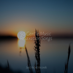 Garden's Melodic Steps