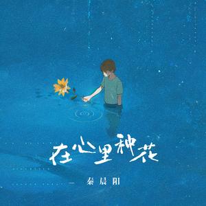 在心里种一朵花（当你开始变得沉默）