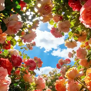 Are You With Me（FYH remix）