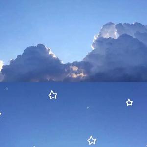 1298-男LETTING GO-1