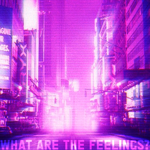 What Are The Feelings