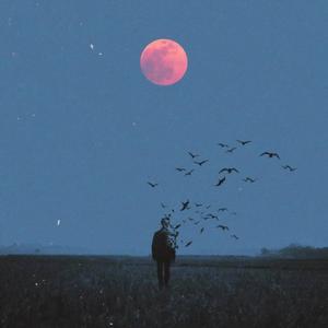 你不是陪我到最后的人