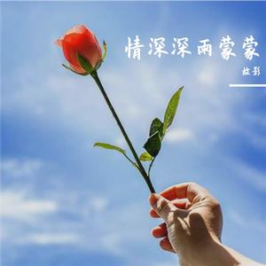 情深深雨蒙蒙（赵薇）