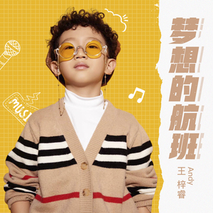 梦想的航班