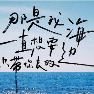 八十块环游世界