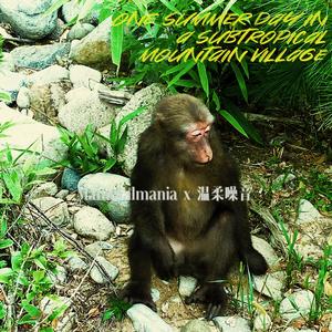 one Summer day in a Subtropical mountain Village