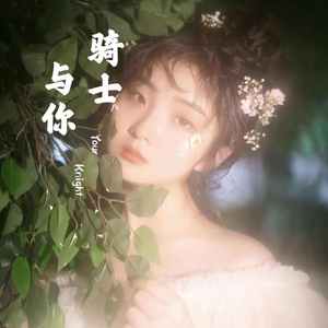 Franco.D-骑士与你（Lil Biu remix）