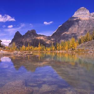 我愿你永远能快乐