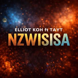 Nzwisisa (feat. Tayt) (official audio)