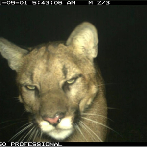 命里无时莫强求