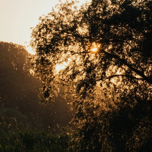 Geheimnisvolle Abenddämmerung