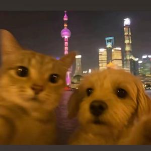 哈基米_ - 你若哈冬