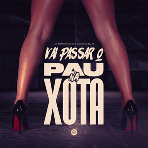 Vai Passar o Pau na Xota