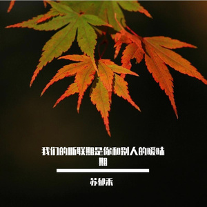 我们的断联期是你和别人的暧昧期