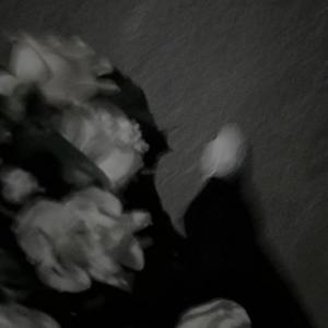 ช่อดอกไม้ (feat. THEKENOG & FLOKI LIS4TRIP)