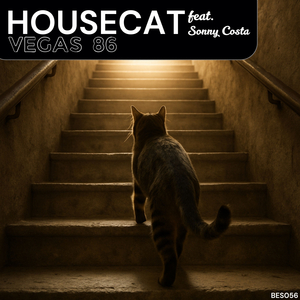 Housecat (Radio Edit)
