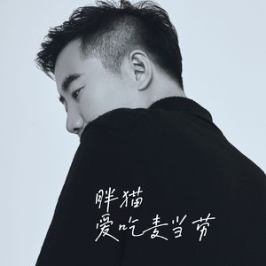 胖猫爱吃麦当劳