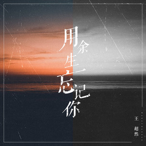 用余生忘记你
