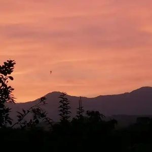 金钱难买自由爱