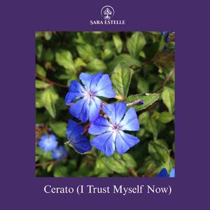 Cerato (I Trust Myself Now)