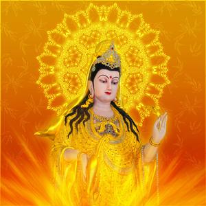 NHẠC NAM MÔ ĐẠI TỪ ĐẠI BI CỨU KHỔ CỨU NẠN LINH CẢM ỨNG QUAN THẾ ÂM BỒ TÁT 1