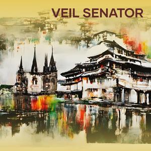 Veil Senator