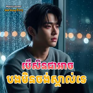 បើសិនជាអាចបងមិនចង់ស្គាល់ទេ