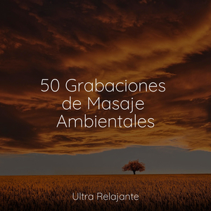 Relajado