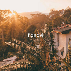 Panavi