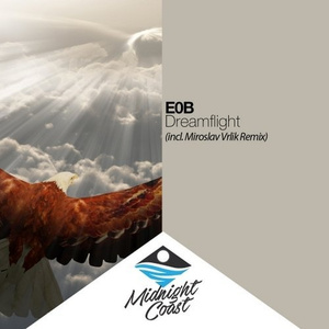 Dreamflight (Miroslav Vrlik Remix)