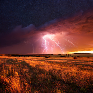 Notes That Bloom In The Silence