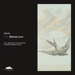 Eternal Love (Alex Doering Remix)