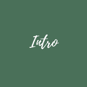 Intro