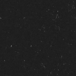 {此曲目已被封印}