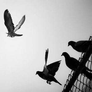 Drift away (143 bpm)