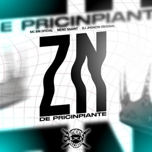 Zn de Pricinpiante