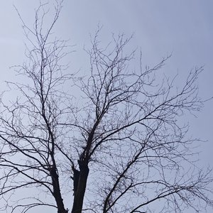 穿越雪山到花海